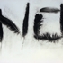Deutch_nofeathers