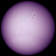 Purple Lightbulb with Sunspots Made by Hand,Siri Kaur