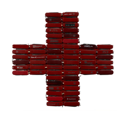 American Red Cross,Michele Pred