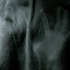 20110328230858-patience-kalliope-amorphous