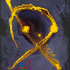20110329050353-saffron_medusa