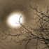 20130211222620-one_afternoon_in_february__300_