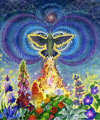Cosmic Nectar,Jessican Perlstein