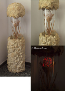 20110330054133-rock_flower