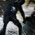 20110330124803-narcissusandnemesis__copy