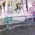 20110331131101-garden_of_eden_series_gate_file_081
