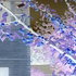 20110331131534-mack_the_garden_of_eden_1_series_2010