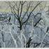20110401072243-december_hudson_river