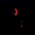 20110401151311-david_1