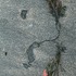 20110401160621-2011profile_in_sand_4x6-72dpi-1