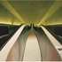 20110402024035-yang-yong-1