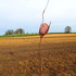 20120121235426-nestling_cocoon_enhanced