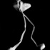 20110402163303-pieces_of_you