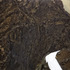 20110402192245-others_03