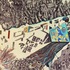 20110403104024-tarariversmallerdetail-1