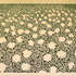 20110403113826-dscn3252