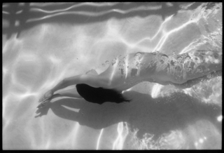 ,Deanna Templeton