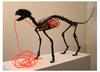 20110403202249-david_a_smith__banshee__2011__resin_feline_skeleton__el_wire__black_gloss_finish__46_x_60_x_20_cm