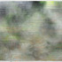 20110405024938-koendelaere__zonder_titel__olieverf_en_spraypaint_op_doek__150_x_250_cm__2009