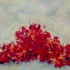 Liu-cherries-cardimage-01