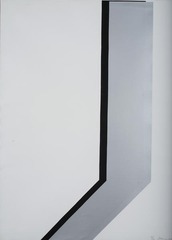 Zarina Hashmi: Anamnesis 1970-1989,Zarina Hashmi