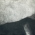 20110406105202-waking_into_the_desert_dream_21