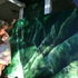 20110406112159-import_art_054