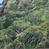 20110406113506-looking_into_whites_002