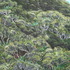 20110406113648-looking_into_whites_004