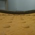 20110406234412-img_2252