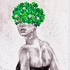 20110407011145-oxalis
