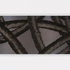 20110407150130-aaronyoung3896