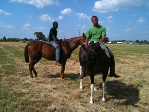 20110407220834-everson_web_600
