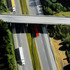20110408111905-9_gorman_a__2010_onold17_oil_36x24
