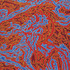 20110409070644-150x200cm