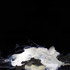 20110409130817-loomer