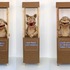 20110410013850-doggiewindowgroup