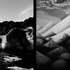 20110410151449-tremie_for_the_tartins__2_