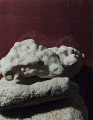Re07-022
