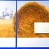 20110411113351-002_bail_of_hay