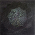 20110411125450-moat