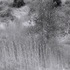 20110411140033-0363516-r2-e036