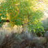 20110411133303-4468763-r1-036-16a