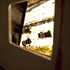 20110411183706-badboysbox