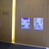 20110411221536-dscn1395