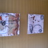20110411221744-dscn1398