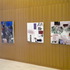 20110411222816-dscn1387