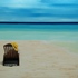 20110412064402-punta_cana