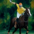 20110413014246-polo_player
