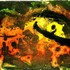 20110413045314-mares_subterr_neos